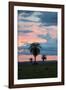 Sunset over the Cerrado Landscape and Palm Trees-Alex Saberi-Framed Photographic Print