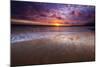 Sunset over the Channel Islands from Ventura State Beach, Ventura, California, USA-Russ Bishop-Mounted Photographic Print