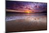 Sunset over the Channel Islands from Ventura State Beach, Ventura, California, USA-Russ Bishop-Mounted Photographic Print