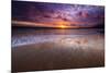 Sunset over the Channel Islands from Ventura State Beach, Ventura, California, USA-Russ Bishop-Mounted Premium Photographic Print