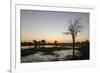 Sunset over the Delta, Khwai Conservation Area, Botswana, Africa-Sergio Pitamitz-Framed Photographic Print