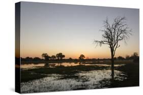 Sunset over the Delta, Khwai Conservation Area, Botswana, Africa-Sergio Pitamitz-Stretched Canvas