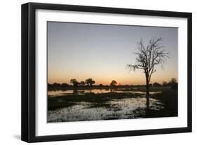 Sunset over the Delta, Khwai Conservation Area, Botswana, Africa-Sergio Pitamitz-Framed Photographic Print