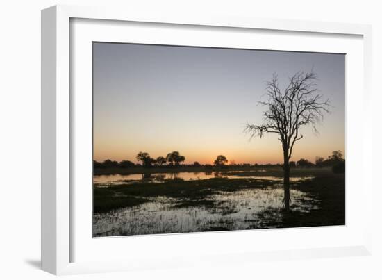 Sunset over the Delta, Khwai Conservation Area, Botswana, Africa-Sergio Pitamitz-Framed Photographic Print