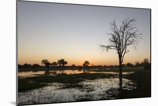 Sunset over the Delta, Khwai Conservation Area, Botswana, Africa-Sergio Pitamitz-Mounted Photographic Print