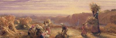 https://imgc.allpostersimages.com/img/posters/sunset-over-the-gleaning-fields-1855_u-L-Q1HOMZ40.jpg?artPerspective=n