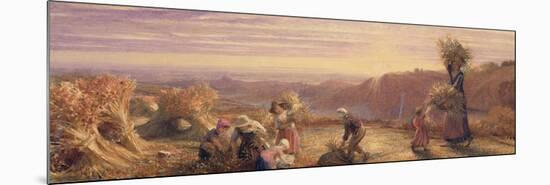 Sunset over the Gleaning Fields, 1855-Samuel Palmer-Mounted Giclee Print