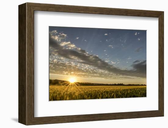 Sunset Over the Golden Meadow-Don Schwartz-Framed Art Print