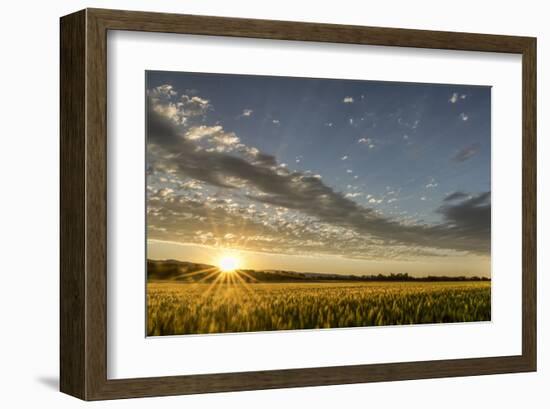 Sunset Over the Golden Meadow-Don Schwartz-Framed Art Print