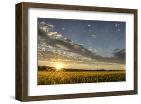 Sunset Over the Golden Meadow-Don Schwartz-Framed Art Print