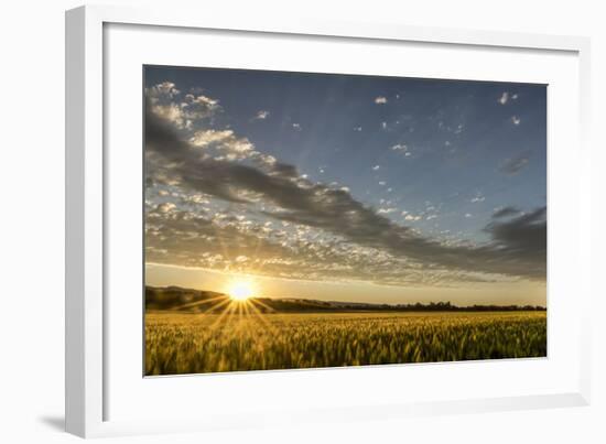 Sunset Over the Golden Meadow-Don Schwartz-Framed Art Print