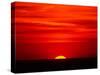 Sunset Over the Gulf of Mexico, Florida, USA-Charles Sleicher-Stretched Canvas