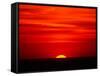 Sunset Over the Gulf of Mexico, Florida, USA-Charles Sleicher-Framed Stretched Canvas