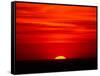 Sunset Over the Gulf of Mexico, Florida, USA-Charles Sleicher-Framed Stretched Canvas