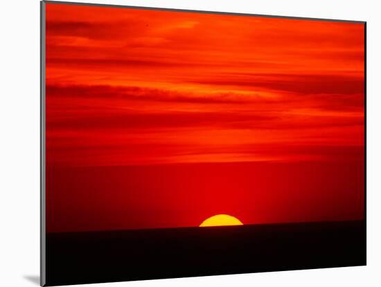 Sunset Over the Gulf of Mexico, Florida, USA-Charles Sleicher-Mounted Premium Photographic Print