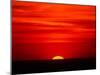 Sunset Over the Gulf of Mexico, Florida, USA-Charles Sleicher-Mounted Premium Photographic Print