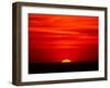 Sunset Over the Gulf of Mexico, Florida, USA-Charles Sleicher-Framed Photographic Print