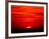 Sunset Over the Gulf of Mexico, Florida, USA-Charles Sleicher-Framed Photographic Print