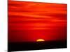 Sunset Over the Gulf of Mexico, Florida, USA-Charles Sleicher-Mounted Photographic Print