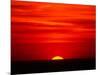 Sunset Over the Gulf of Mexico, Florida, USA-Charles Sleicher-Mounted Photographic Print