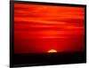 Sunset Over the Gulf of Mexico, Florida, USA-Charles Sleicher-Framed Photographic Print