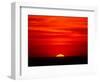 Sunset Over the Gulf of Mexico, Florida, USA-Charles Sleicher-Framed Photographic Print