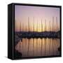 Sunset Over the Marina, St. Tropez, Cote d'Azur, Var, Provence, France, Europe-Ruth Tomlinson-Framed Stretched Canvas