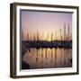 Sunset Over the Marina, St. Tropez, Cote d'Azur, Var, Provence, France, Europe-Ruth Tomlinson-Framed Photographic Print