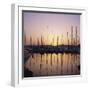 Sunset Over the Marina, St. Tropez, Cote d'Azur, Var, Provence, France, Europe-Ruth Tomlinson-Framed Photographic Print