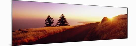 Sunset over the Mountain, Mt Tamalpais, Marin County, California, USA-null-Mounted Photographic Print