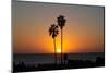 Sunset over the ocean and two palm trees in silhouettte, Dana Point, California-Ethel Davies-Mounted Photographic Print