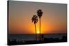 Sunset over the ocean and two palm trees in silhouettte, Dana Point, California-Ethel Davies-Stretched Canvas