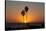 Sunset over the ocean and two palm trees in silhouettte, Dana Point, California-Ethel Davies-Stretched Canvas