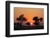 Sunset over the Okavango Delta, Botswana, Africa-Sergio Pitamitz-Framed Photographic Print