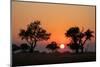 Sunset over the Okavango Delta, Botswana, Africa-Sergio Pitamitz-Mounted Photographic Print