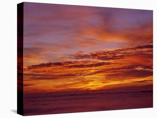 Sunset over the Pacific Ocean from Cape Perpetua, Oregon, USA-Steve Terrill-Stretched Canvas