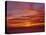 Sunset over the Pacific Ocean from Cape Perpetua, Oregon, USA-Steve Terrill-Stretched Canvas