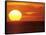 Sunset Over the Pacific-Mitch Diamond-Framed Stretched Canvas