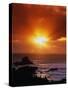 Sunset over the Pacific-James Randklev-Stretched Canvas