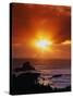 Sunset over the Pacific-James Randklev-Stretched Canvas