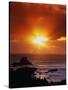 Sunset over the Pacific-James Randklev-Stretched Canvas