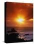 Sunset over the Pacific-James Randklev-Stretched Canvas