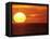 Sunset Over the Pacific-Mitch Diamond-Framed Stretched Canvas