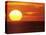 Sunset Over the Pacific-Mitch Diamond-Stretched Canvas