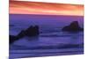 Sunset over the Pacifica Ocean from Seal Rock along the Oregon Coast.-Darrell Gulin-Mounted Photographic Print