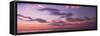 Sunset over the sea, Venice Beach, Sarasota, Florida, USA-Panoramic Images-Framed Stretched Canvas