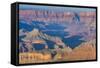 Sunset over the South Rim of the Grand Canyonarizona, United States of America, North America-Michael Runkel-Framed Stretched Canvas