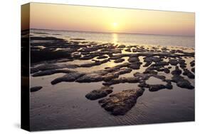 Sunset over the tideland, Sylt, Schleswig-Holstein, Germany-null-Stretched Canvas