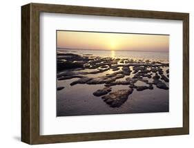 Sunset over the tideland, Sylt, Schleswig-Holstein, Germany-null-Framed Art Print