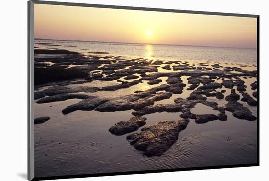 Sunset over the tideland, Sylt, Schleswig-Holstein, Germany-null-Mounted Art Print